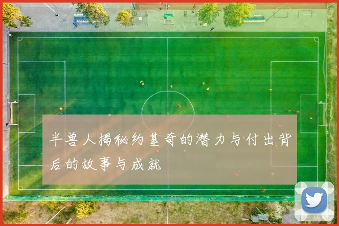 半兽人揭秘约基奇的潜力与付出背后的故事与成就