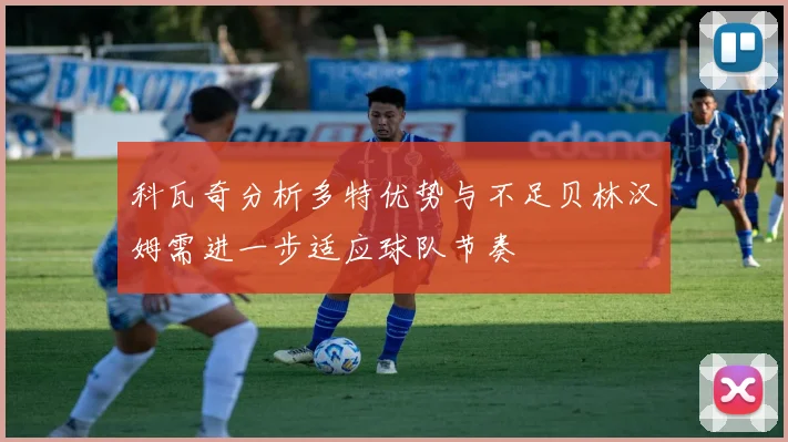 科瓦奇分析多特优势与不足贝林汉姆需进一步适应球队节奏